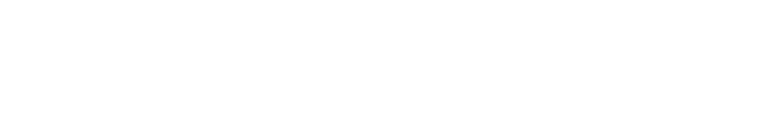 Gondola Ventures Logo White